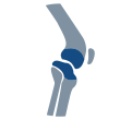 knee-icon