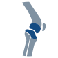 knee-icon