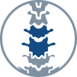 spine-icon