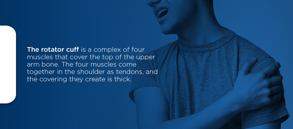 What Is the Rotator Cuff and Why Is It Important the rotator cuff is a complex of four muscles that cover the top of the upper arm bone. The four muscles come together in the shoulder as tendons, and the covering the create is thick