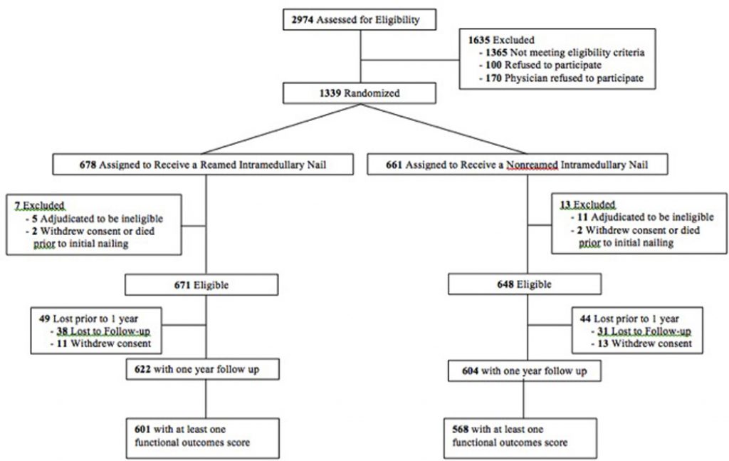 Recovery after fractures and other injuries