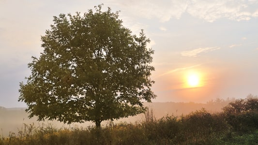 aspen hill and white oak maryland