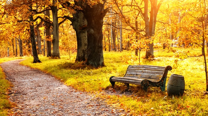 takoma park maryland