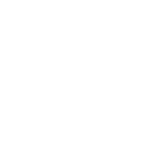 Orthopedic Specialists